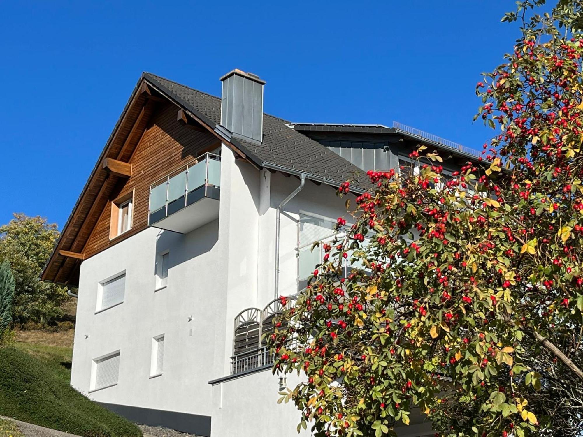 Apartment Schwarzwaldblick I By Interhome Bernau im Schwarzwald Exterior photo